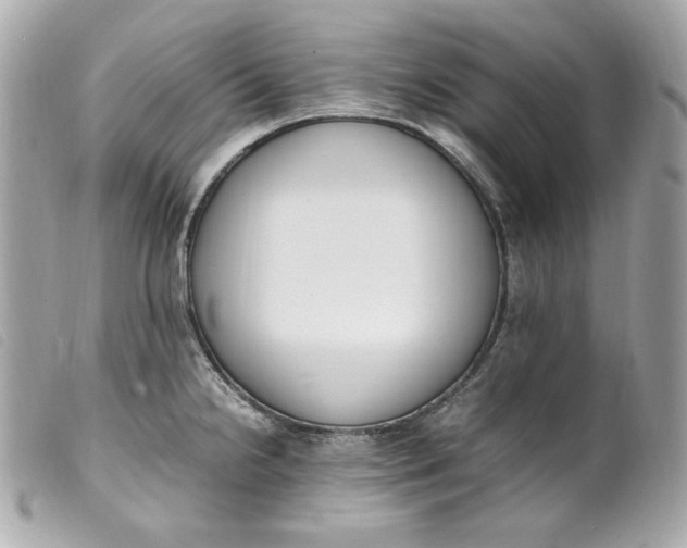 X0000099551238200805301514