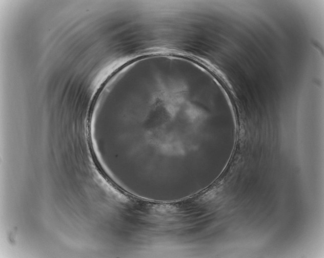 X0000099551239200805301514