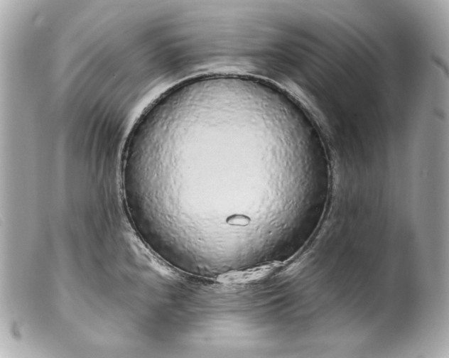 X0000099551240200805301514