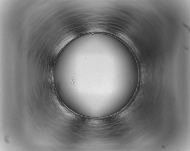 X0000099551241200805301514