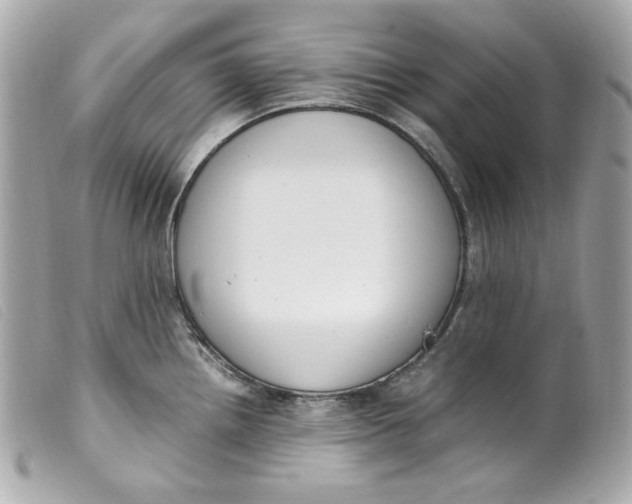 X0000099551242200805301514