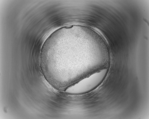 X0000099551244200805301514