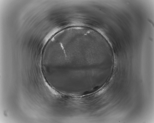 X0000099551245200805301514