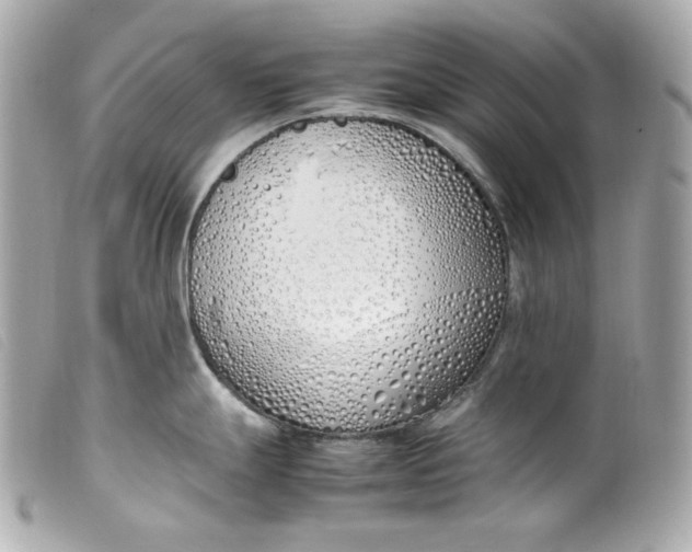 X0000099551247200805301514