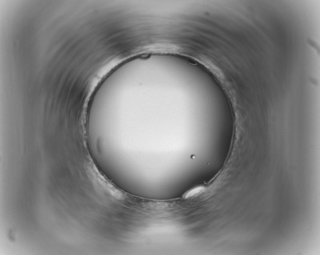 X0000099551248200805301514