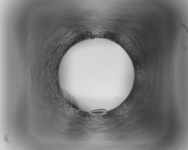 X0000099551249200805301514