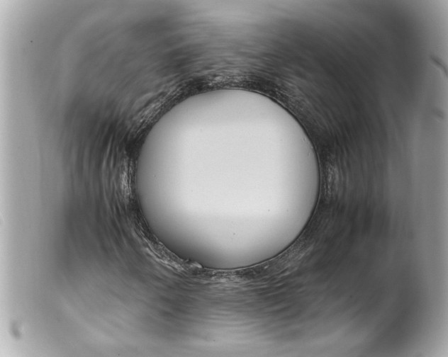 X0000099551250200805301514