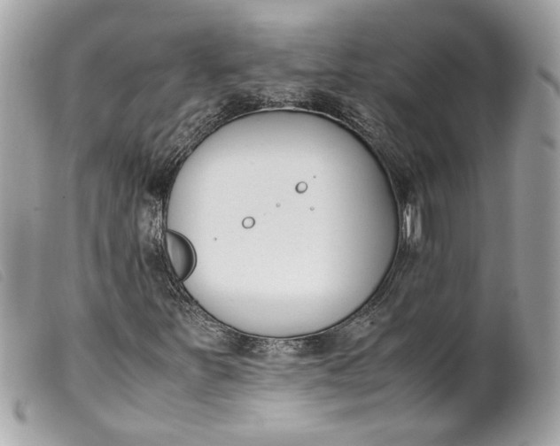 X0000099551251200805301514