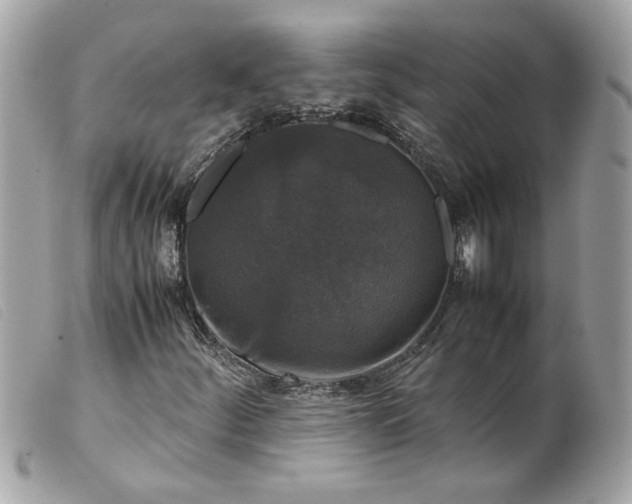 X0000099551252200805301514