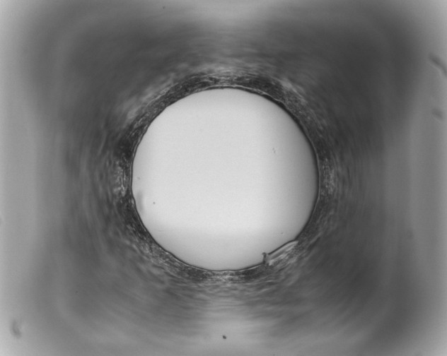 X0000099551253200805301514