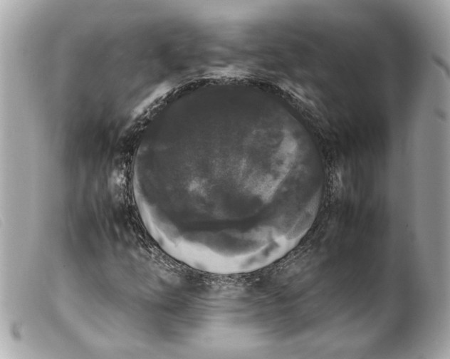 X0000099551254200805301514