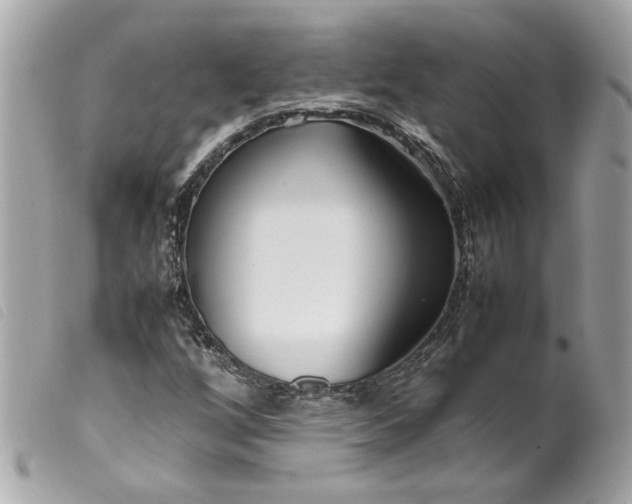 X0000099551256200805301514