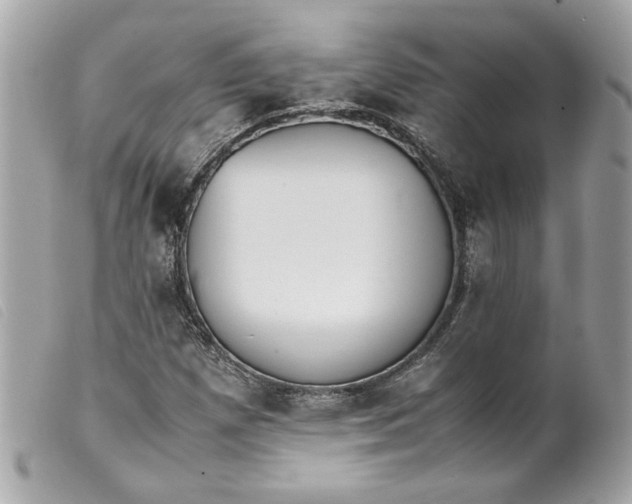 X0000099551257200805301514