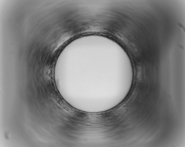 X0000099551258200805301514