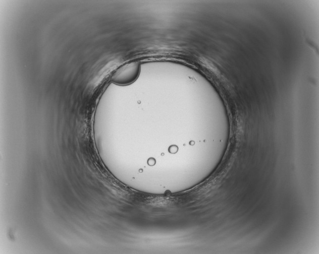 X0000099551259200805301514