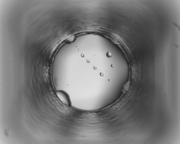 X0000099551260200805301514