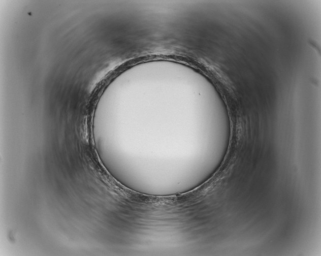 X0000099551262200805301514