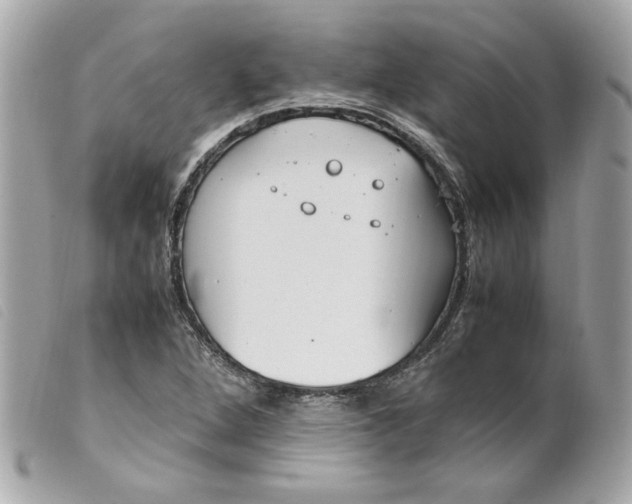 X0000099551264200805301514