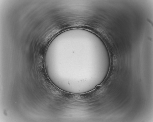 X0000099551265200805301514