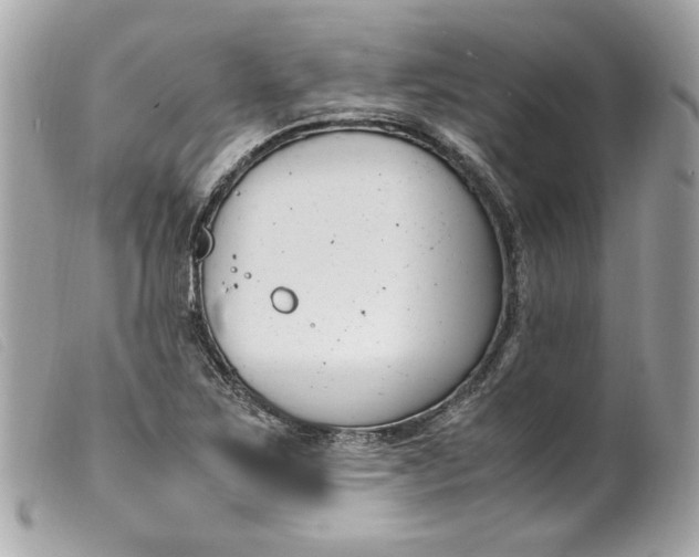 X0000099551267200805301514