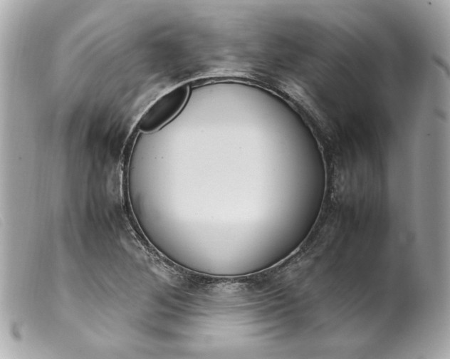 X0000099551268200805301513