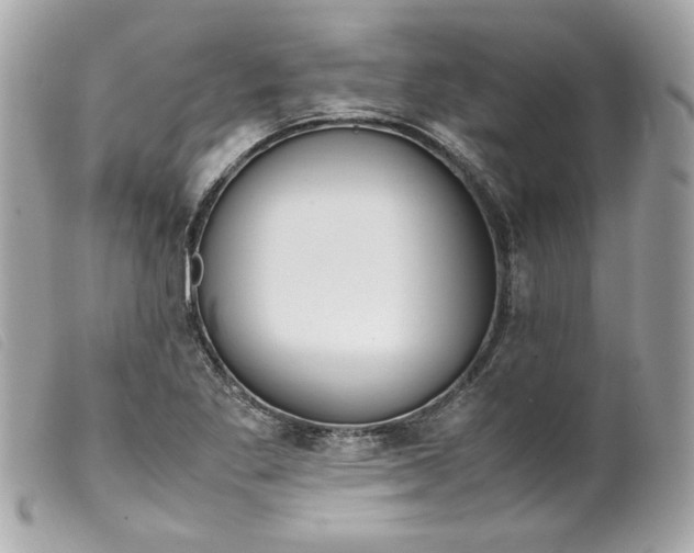 X0000099551269200805301513