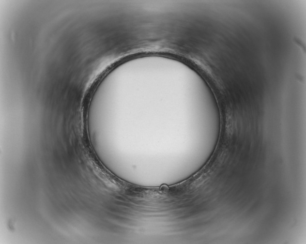 X0000099551270200805301513