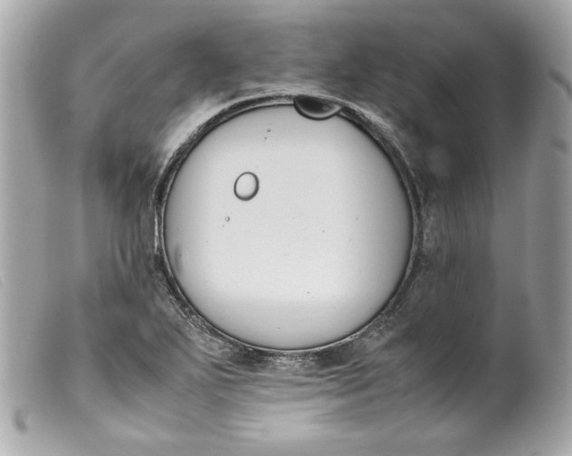 X0000099551271200805301513