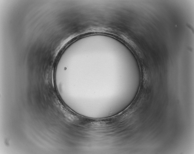 X0000099551272200805301513