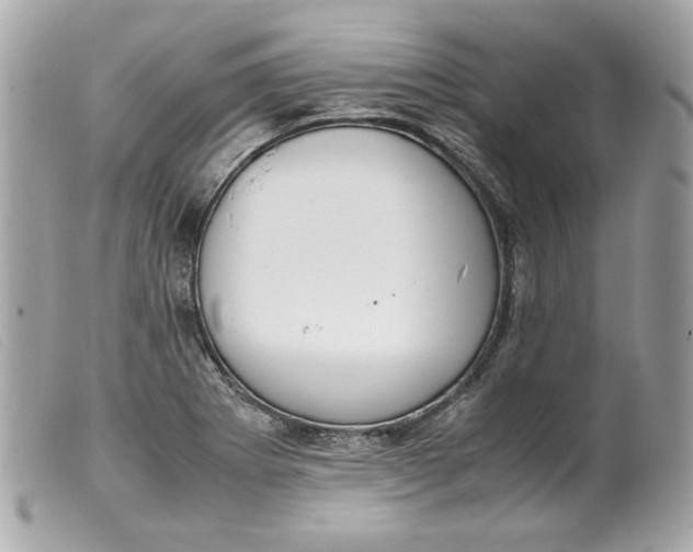 X0000099551273200805301513