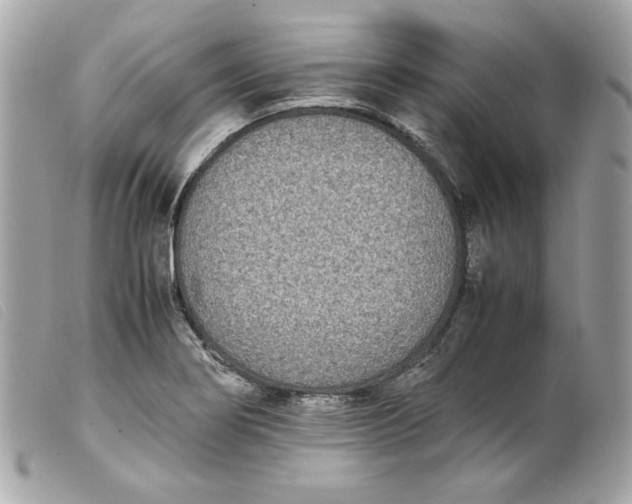 X0000099551274200805301513