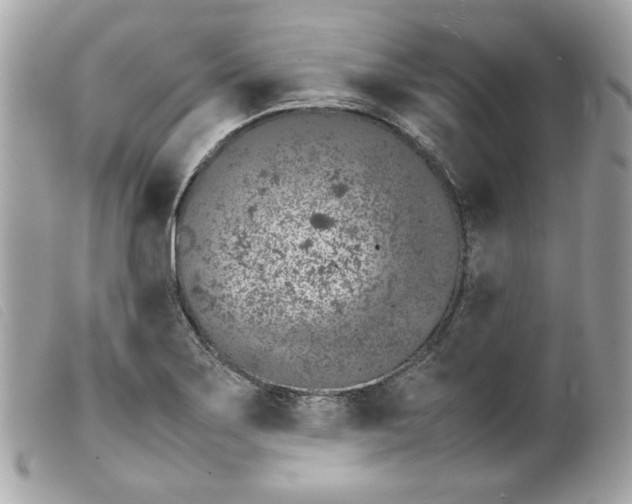 X0000099551275200805301513