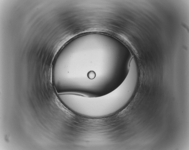 X0000099551276200805301513