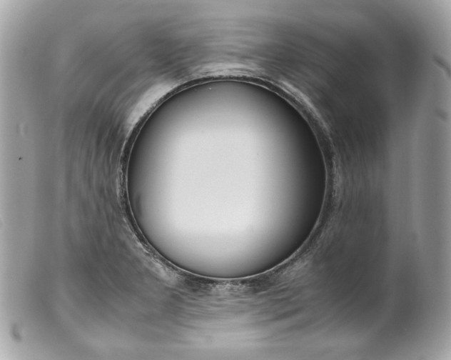 X0000099551277200805301513