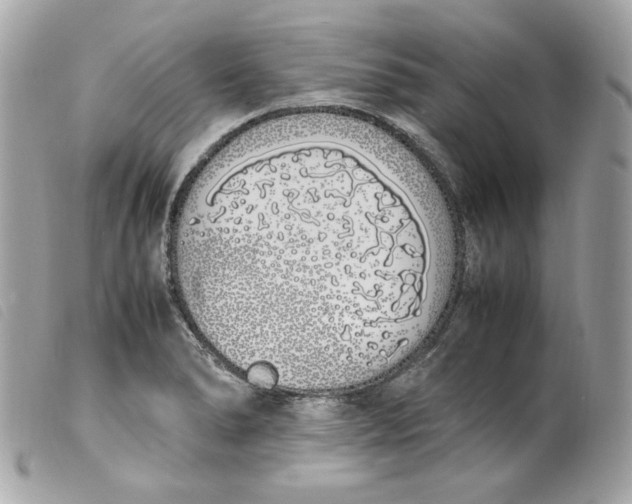 X0000099551278200805301513