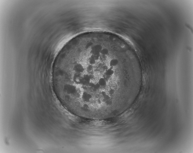 X0000099551279200805301513