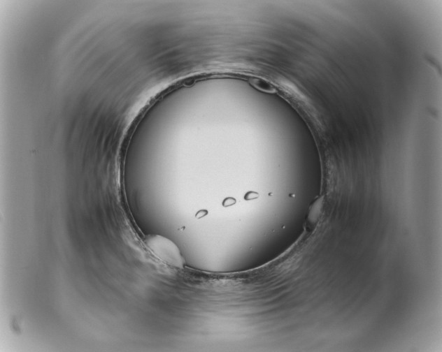 X0000099551280200805301513