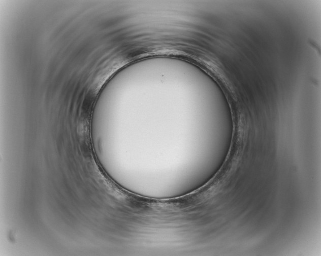 X0000099551281200805301513