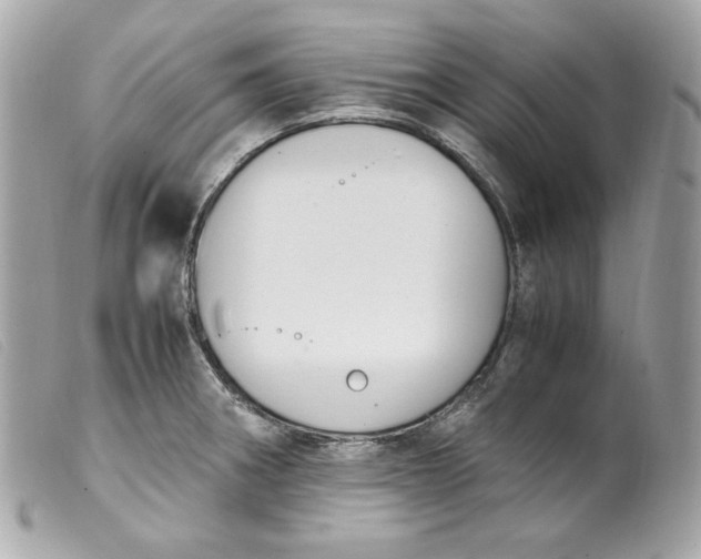 X0000099551282200805301513