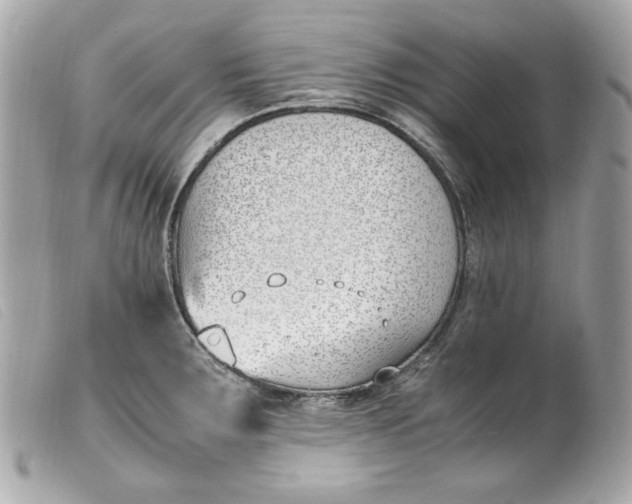 X0000099551283200805301513