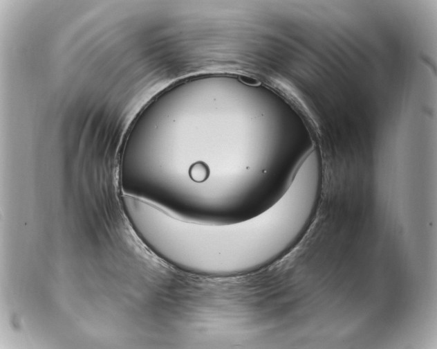 X0000099551284200805301513