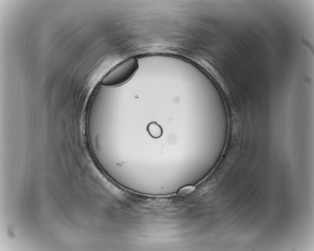 X0000099551285200805301513