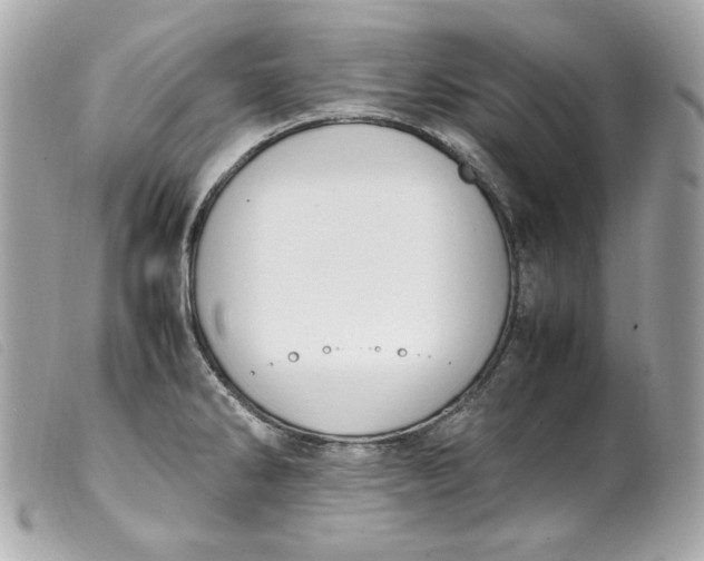 X0000099551286200805301513