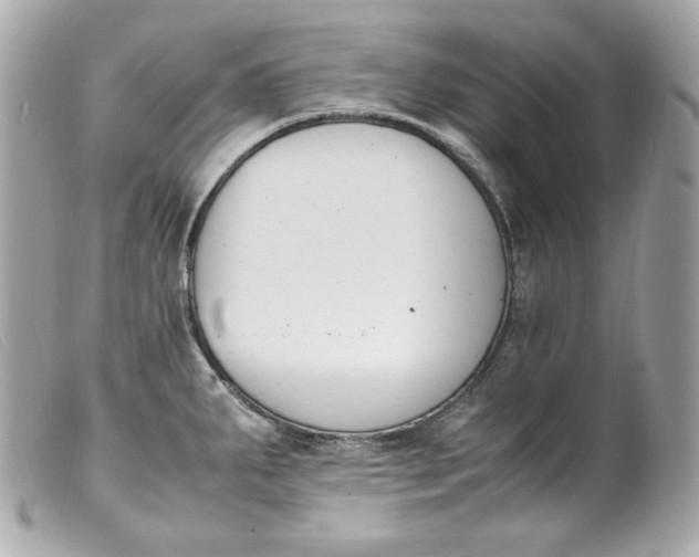 X0000099551287200805301513