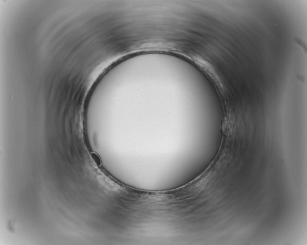 X0000099551288200805301513