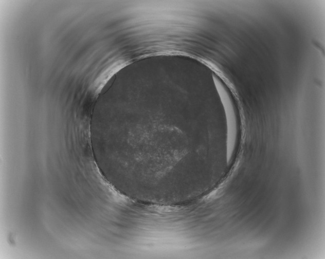 X0000099551289200805301513