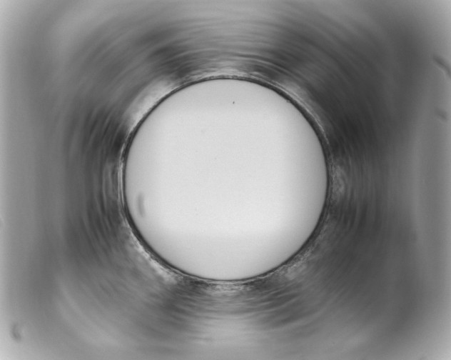 X0000099551290200805301513