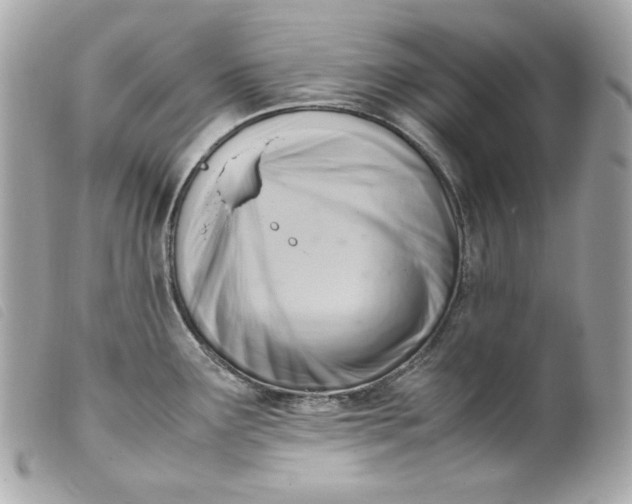 X0000099551291200805301513