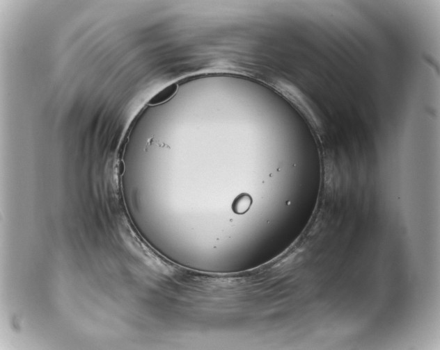 X0000099551292200805301513