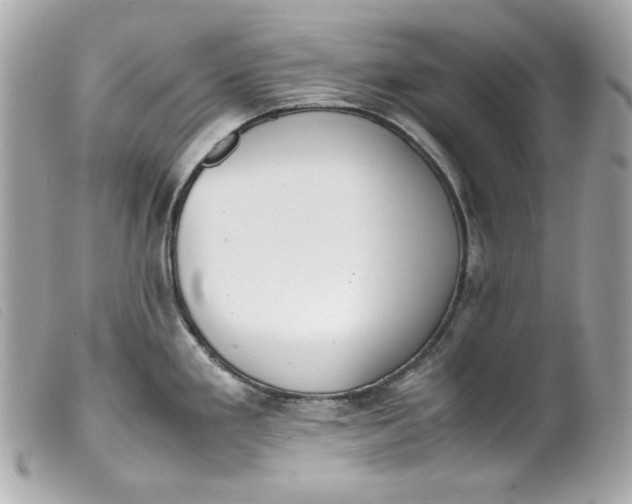 X0000099551293200805301513